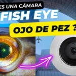 ¿qué es una cámara fisheye ojo de pez?