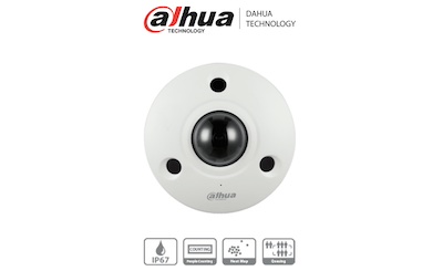 DH-IPC-EBW81242N